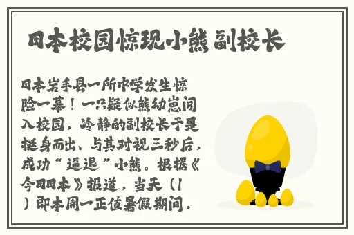 2024年b站入口